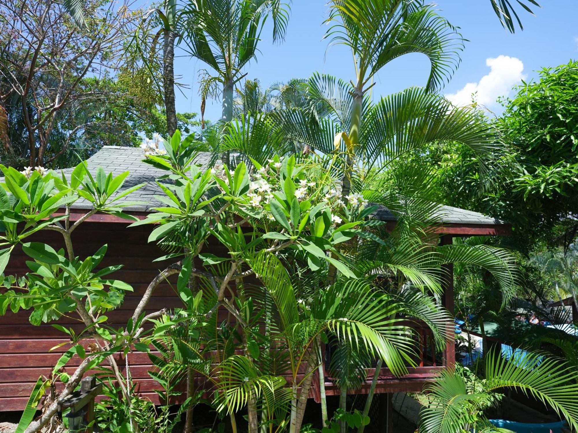 West Bay Lodge And Spa Esterno foto