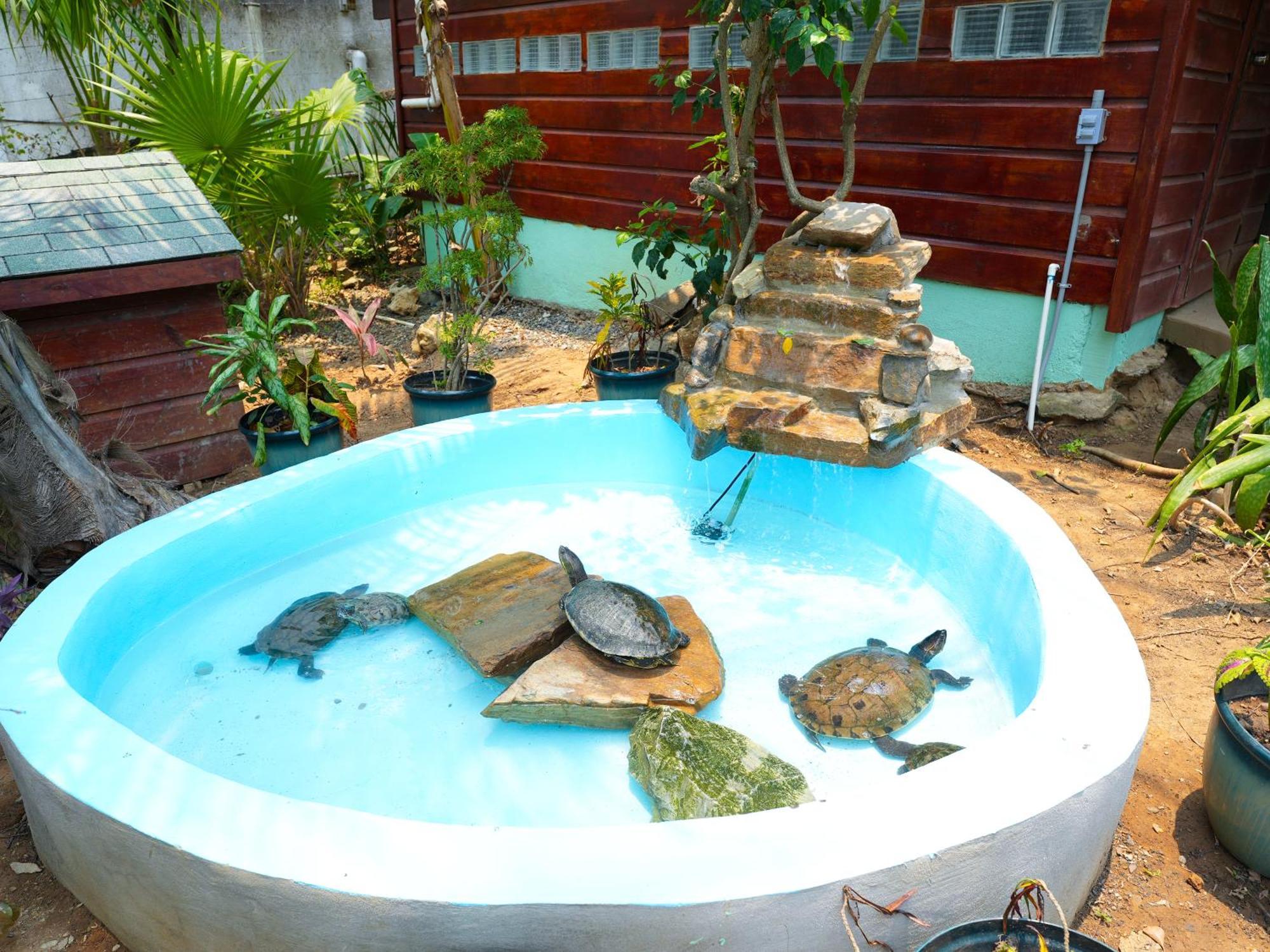 West Bay Lodge And Spa Esterno foto
